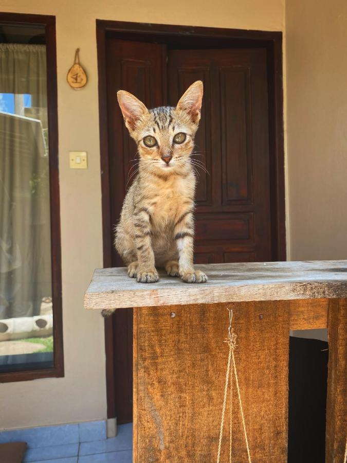 Jimador'S Homestay Gili Trawangan Exterior foto